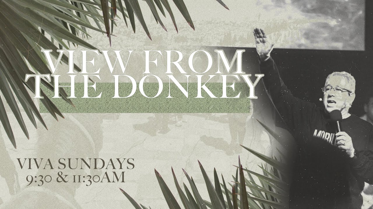 PALM SUNDAY: VIEW FROM THE DONKEY